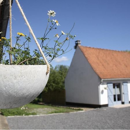 A L'Ombre Du Prunier Bed & Breakfast Licques Exterior foto